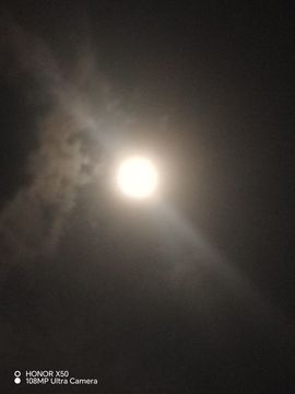 妮⺗溜的图片