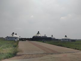 活捉一只小可奈的图片