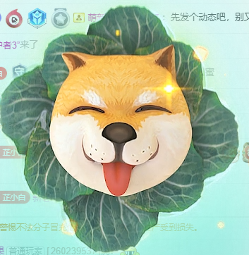 白芷~主播圖片