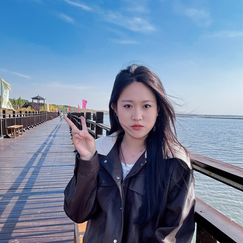 鱼香肉丝ii海报