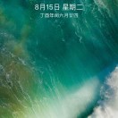 爱微信爱生活的头像