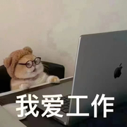 陈冰🍃