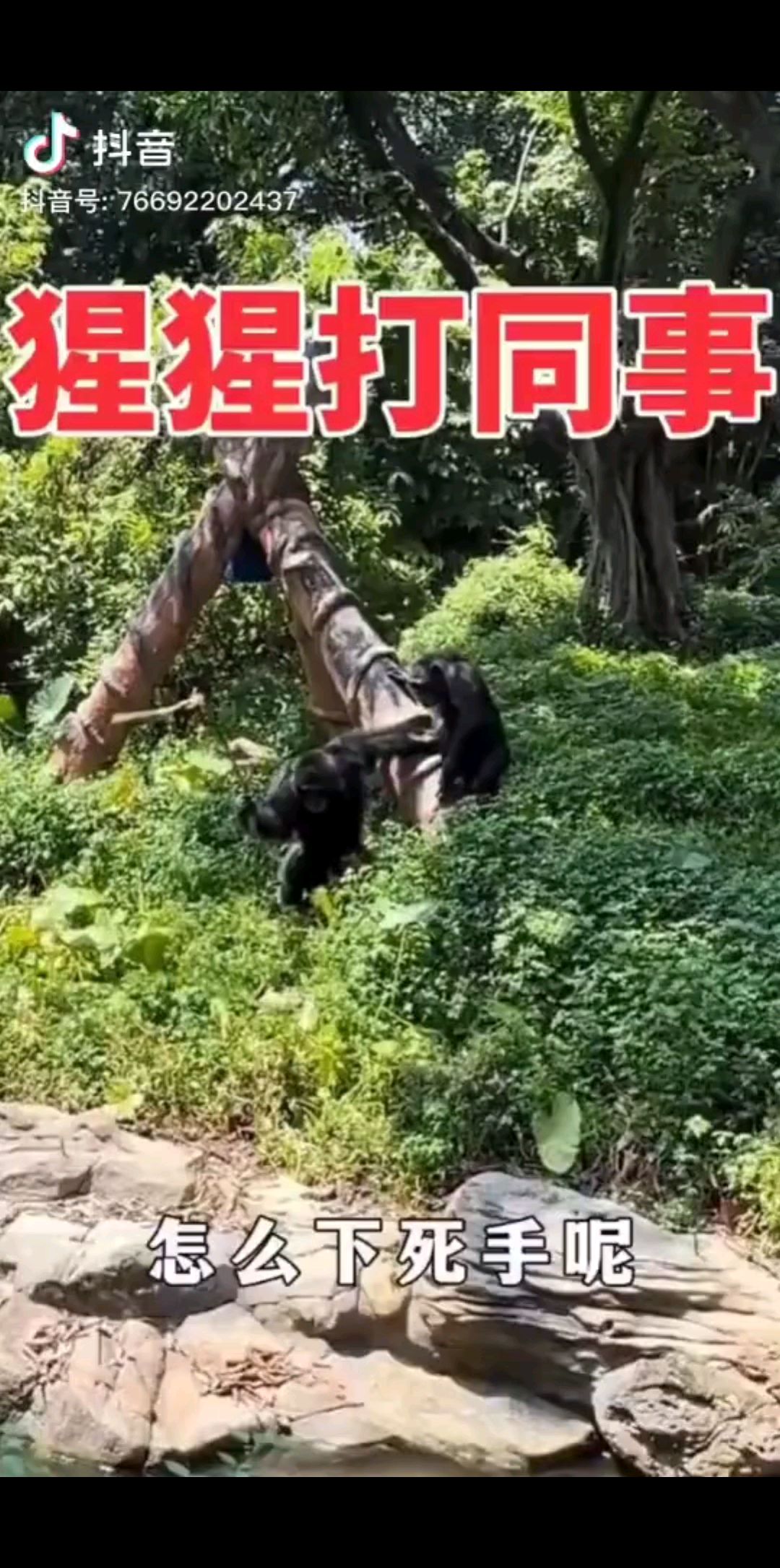 /狂笑/狂笑/狂笑/