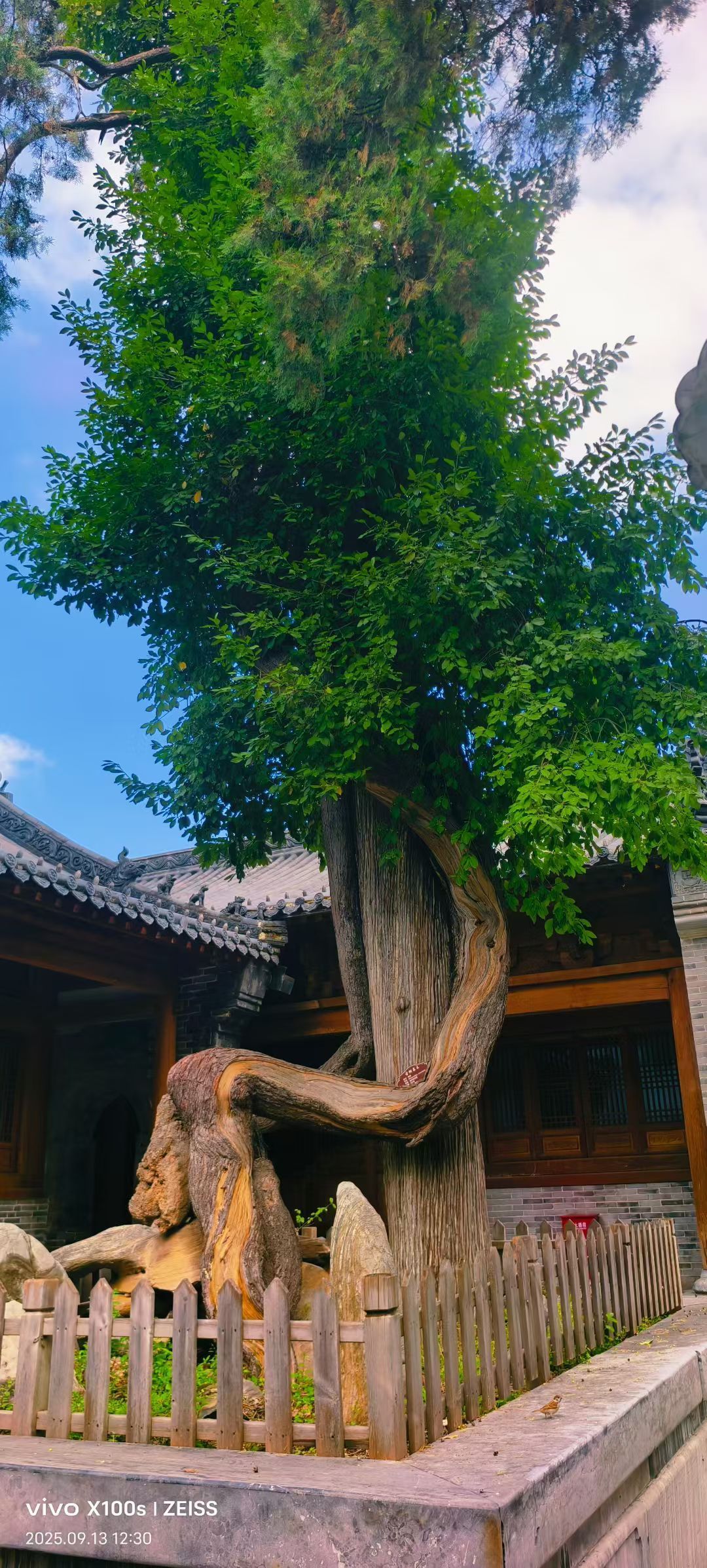 妞妞徒步三亞的主播照片