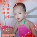 燕子vfv