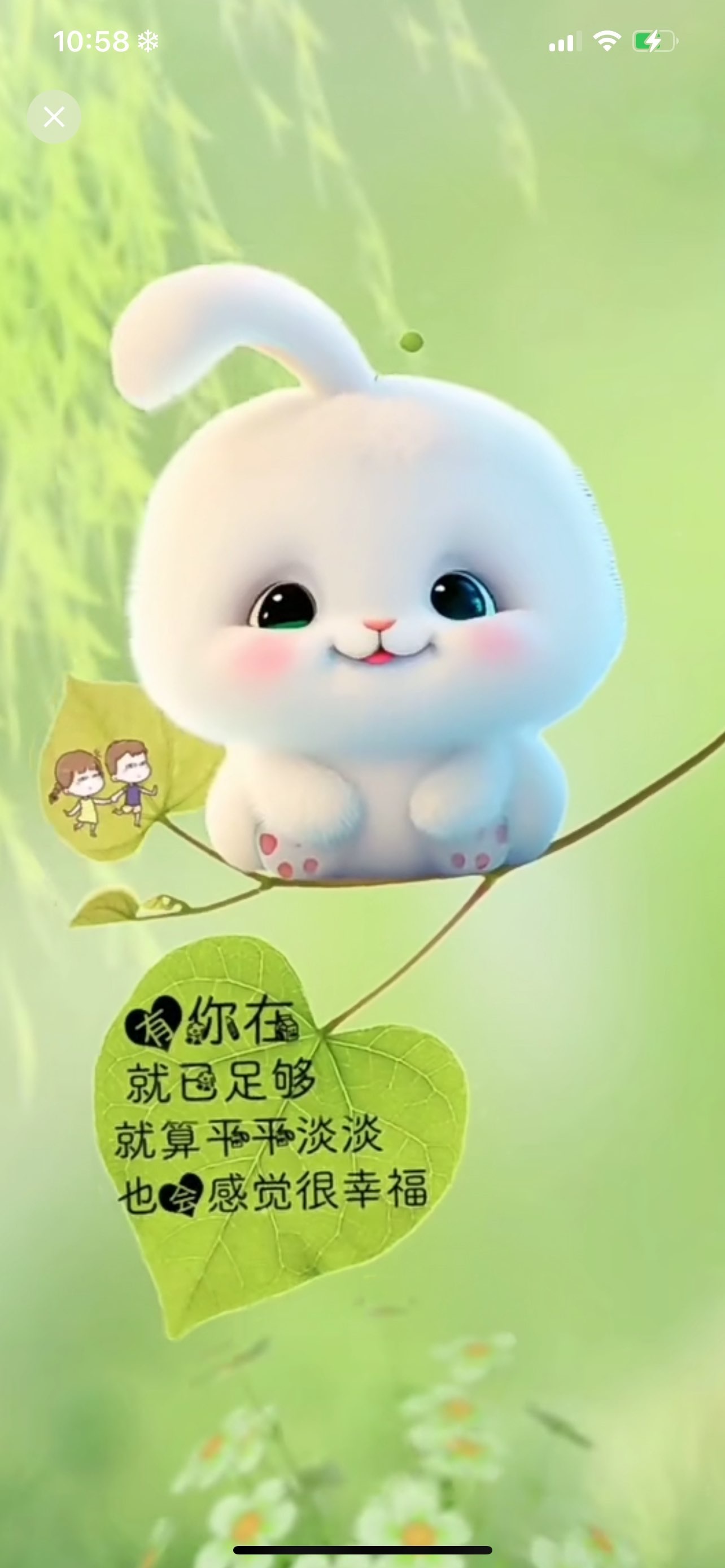 金牌代理❤玲儿❤主播图片