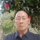龍毅東方