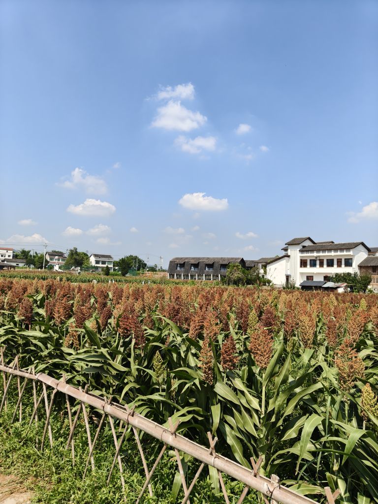 玲儿⌓‿⌓的主播照片