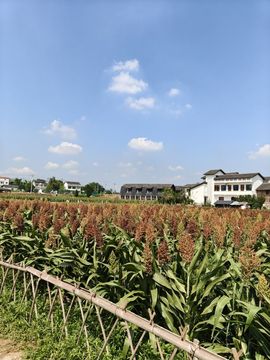 玲儿⌓‿⌓主播照片