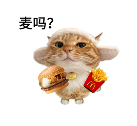 嘟嘟🌟贝嘟嘟的图片