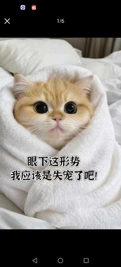 丑小鸭💞愿有一束光主播照片