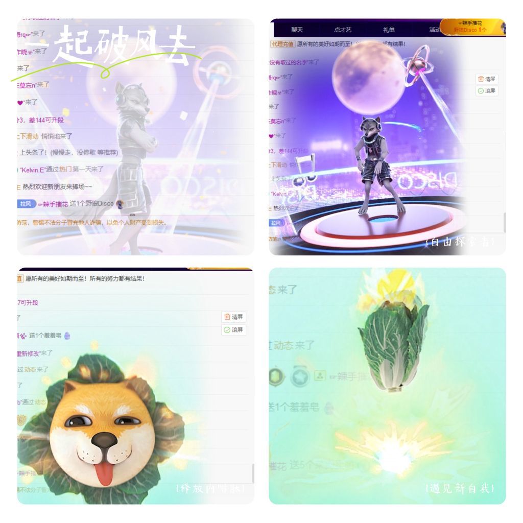 風(fēng)鈴在飛??守望幸福主播圖片