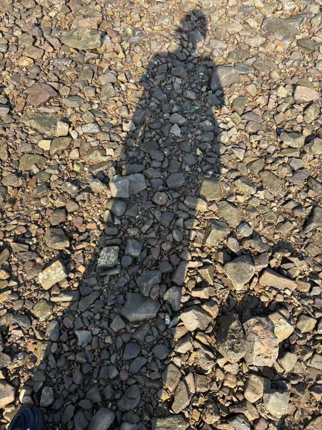 An然🎀主播图片