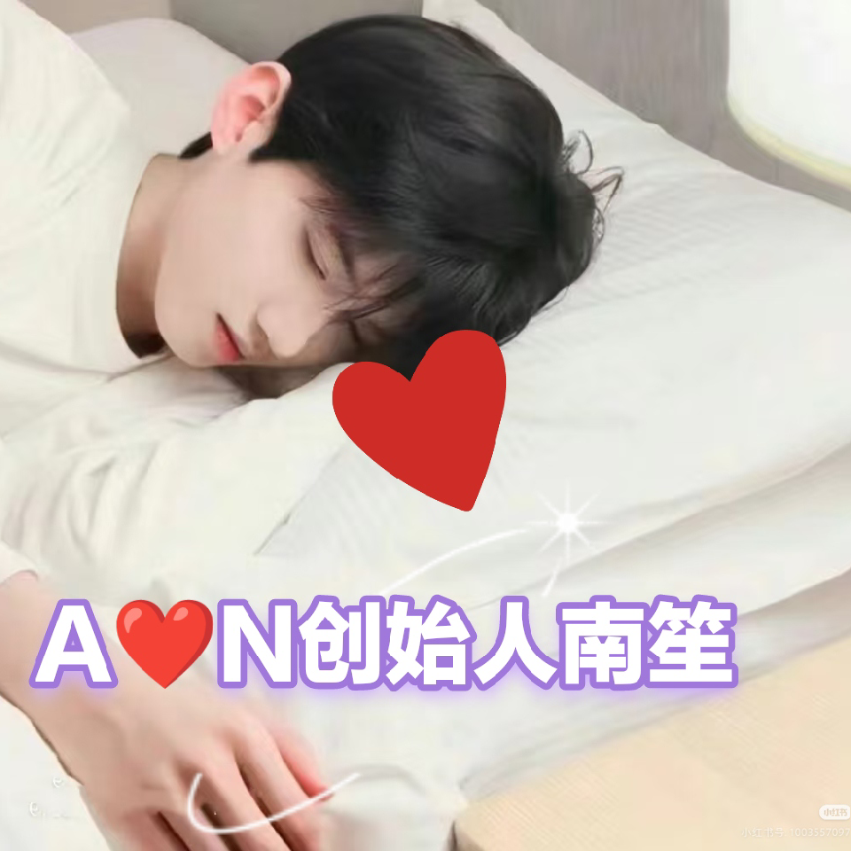 A❤️N创始人南笙海报