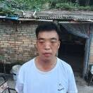 小宋oq的頭像