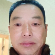⊹健身的红腹锦鸡