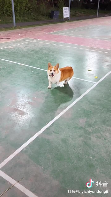 公开1