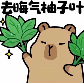 兰小样🌞的图片