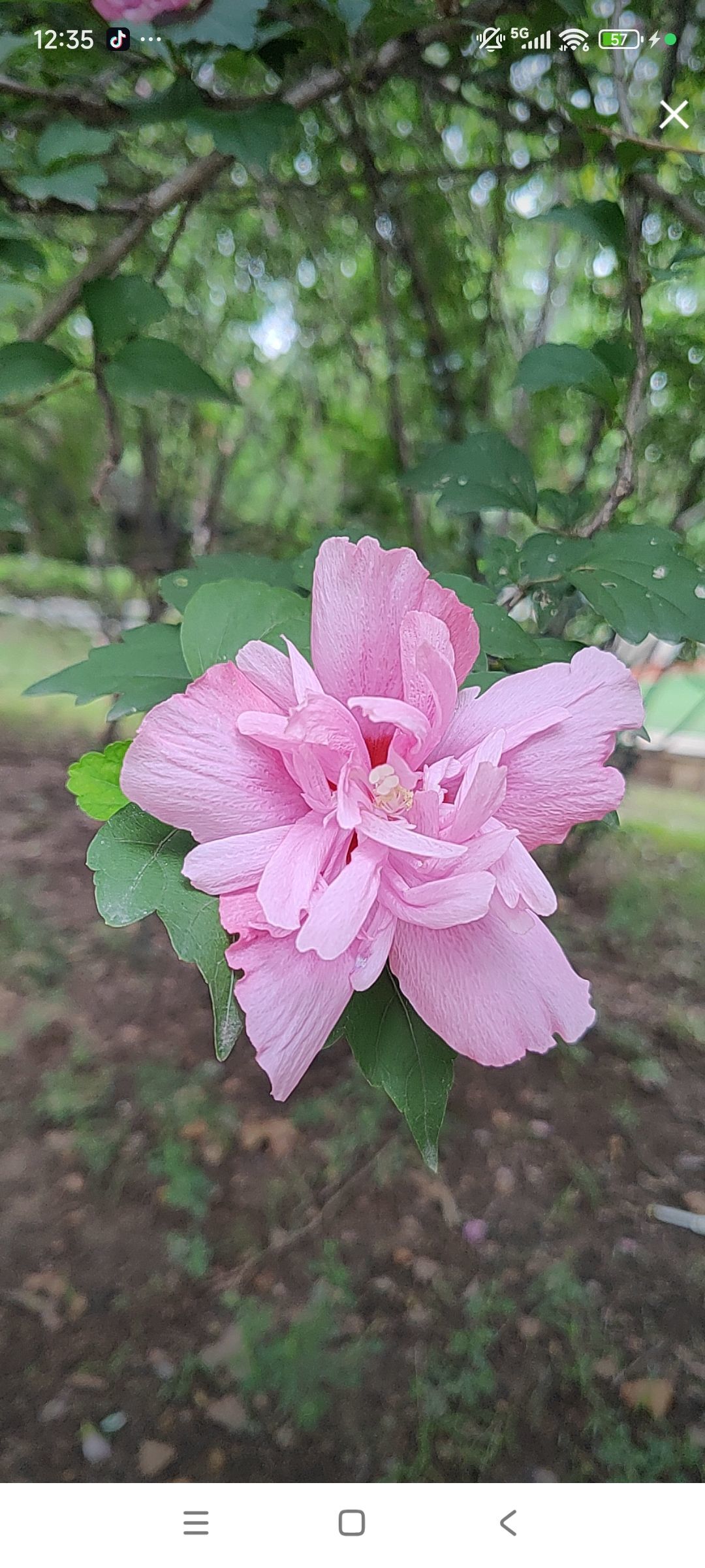 婷婷💕感恩有你陪伴的主播照片