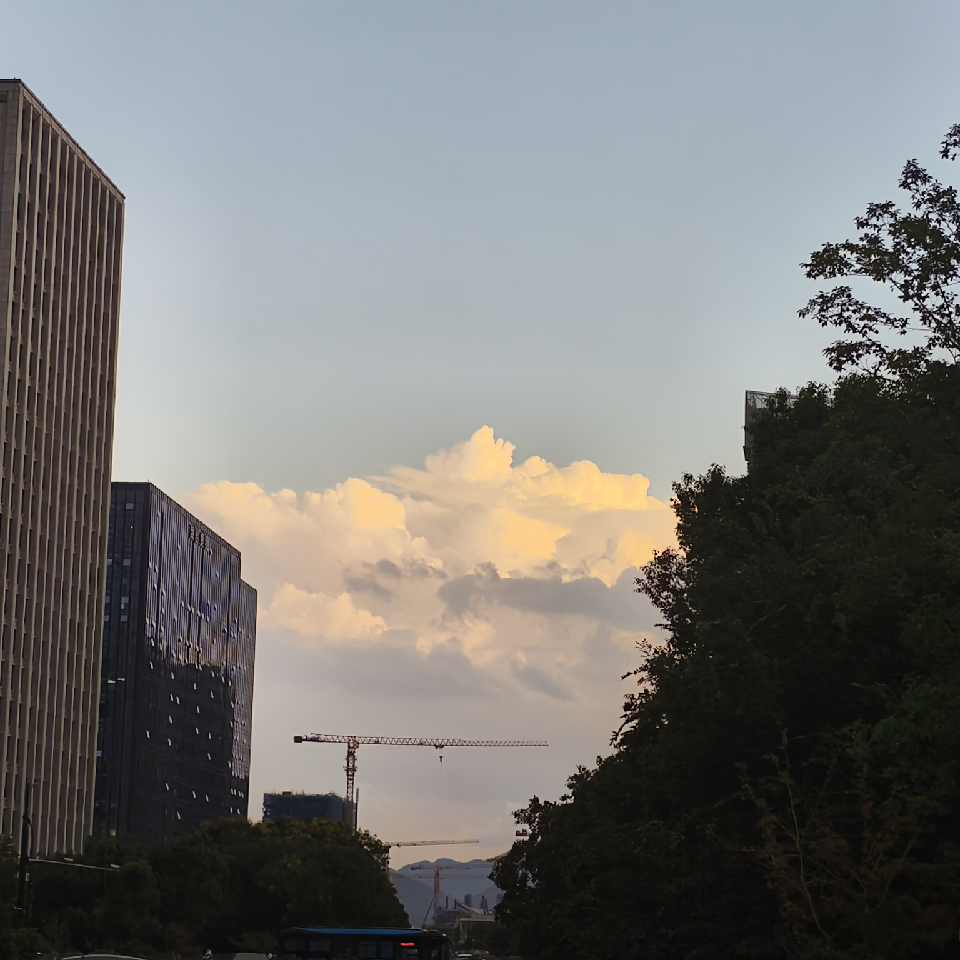 萌新宝宝yWlRzc海报