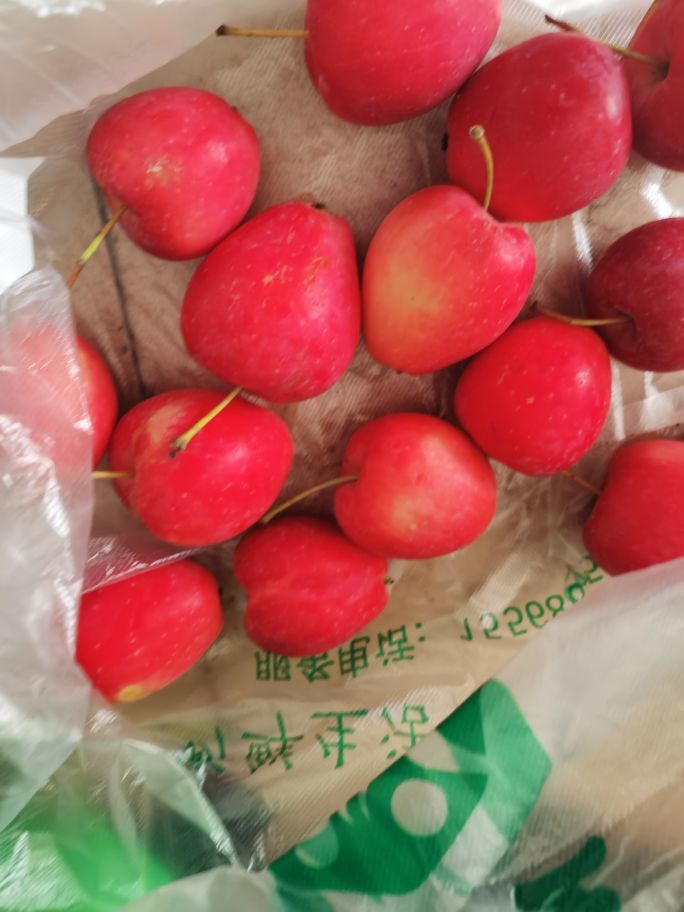 天王盖地虎虎044的主播照片