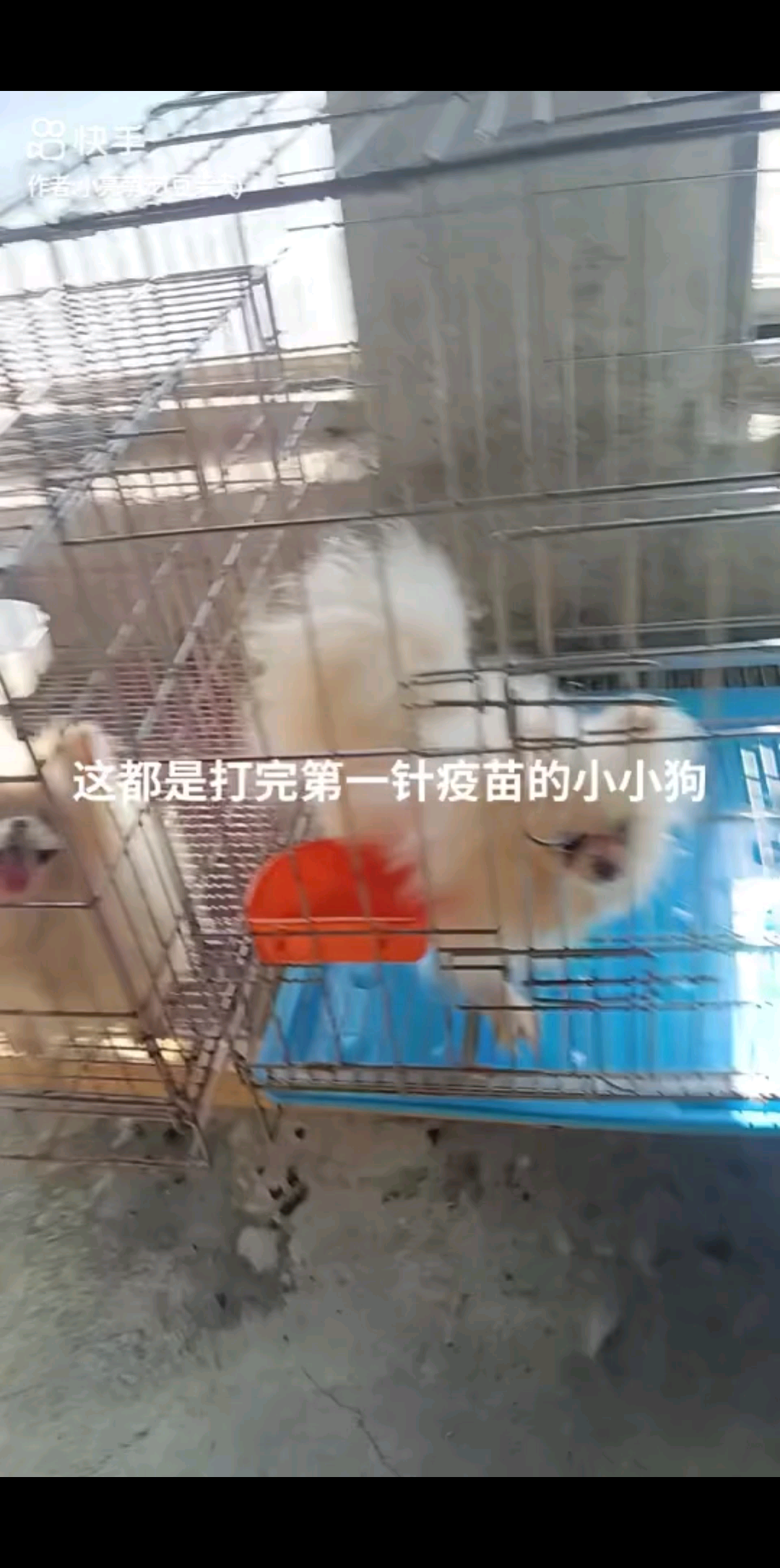 恶意