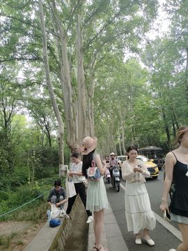 A9jty的图片