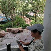 成年单身男女交友