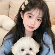ZC沙沙心心心🌷的头像