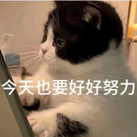无忧🦋的图片