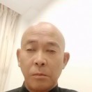 石文富t
