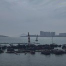 yyif的头像