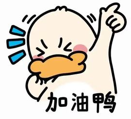 🎵小邓丽君🌺溪儿主播照片