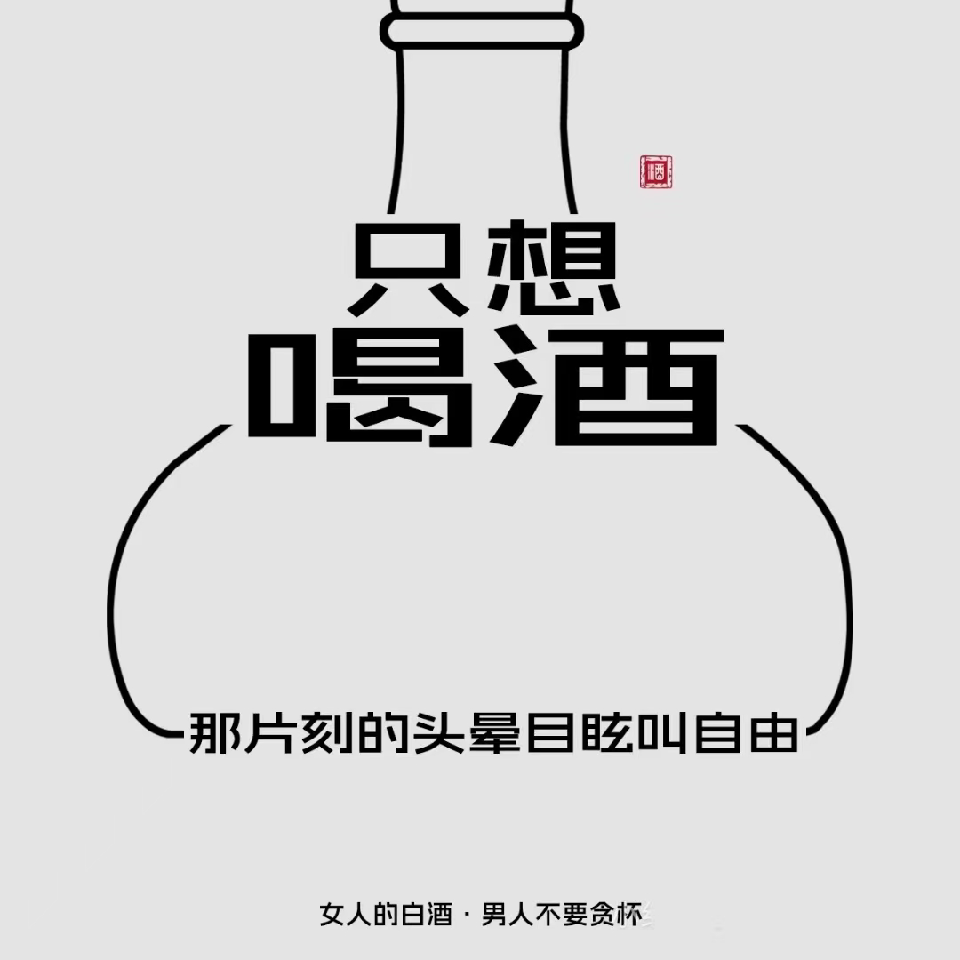 ✨烈酒敬✨余生✨海报