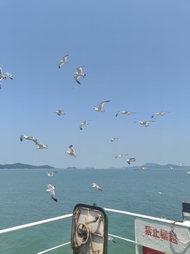 柠檬～💓的图片
