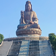 金小公子💰
