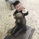 陈磊$l