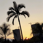 壹条小咸鱼海报