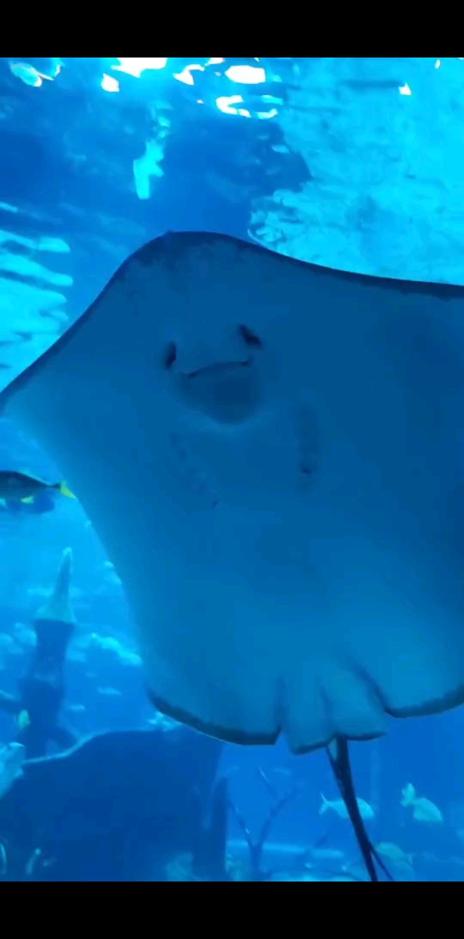 超级治愈🐟🐠😌😄🍻🍻