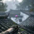 ~活在当下~k