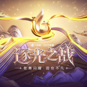 逐光之战