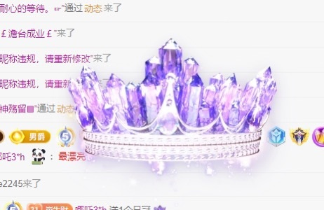 @新人～崽崽主播图片