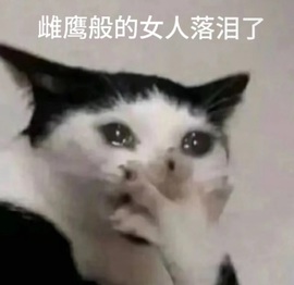 绵绵冰🧊休主播照片