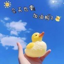 若琳rp