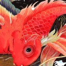 锋哥fc