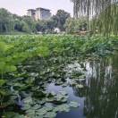 一览众山小9y