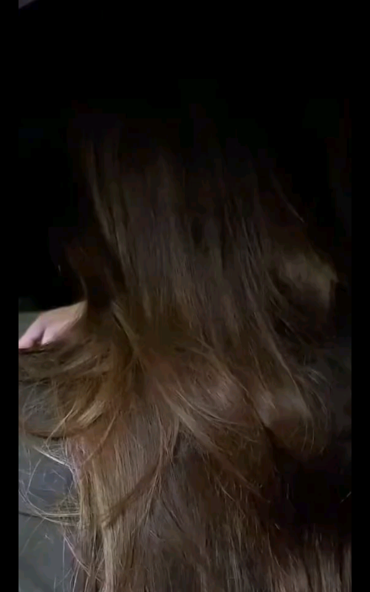 爱意随风起 风止意难
