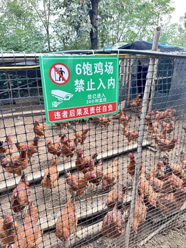 饱饱-实力唱将主播照片