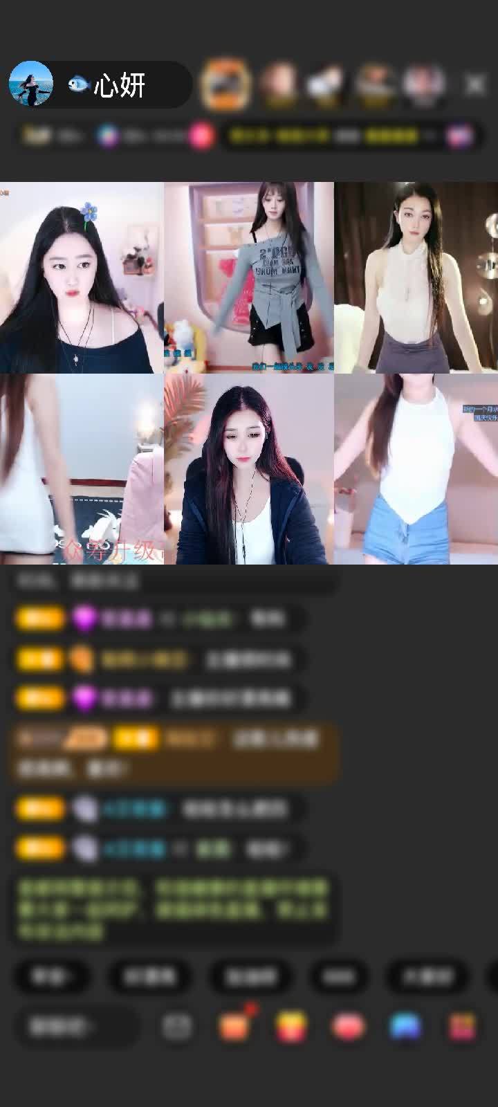 感谢陪伴的人明天会更好赠送菜狗卖萌2个