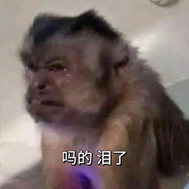 妮🐽崽🎤的图片